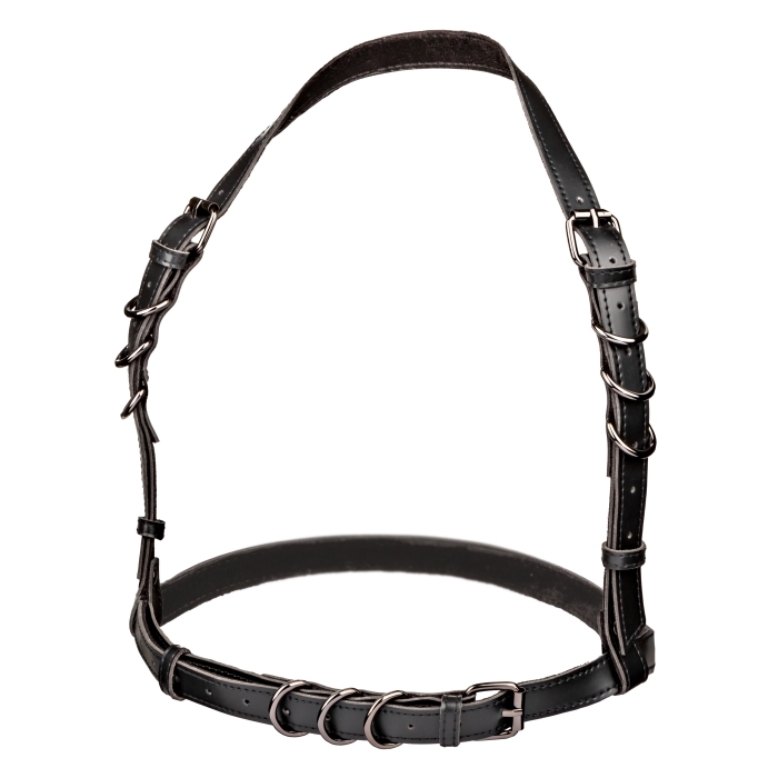 HARNESS BLACK EUPHORIA COLLECTION HALTER BUCKLE - Click Image to Close