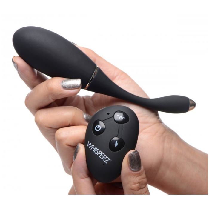 WH VOICE ACTIVATED 10X VIBRATING EGG W/REMOTE CONTROL